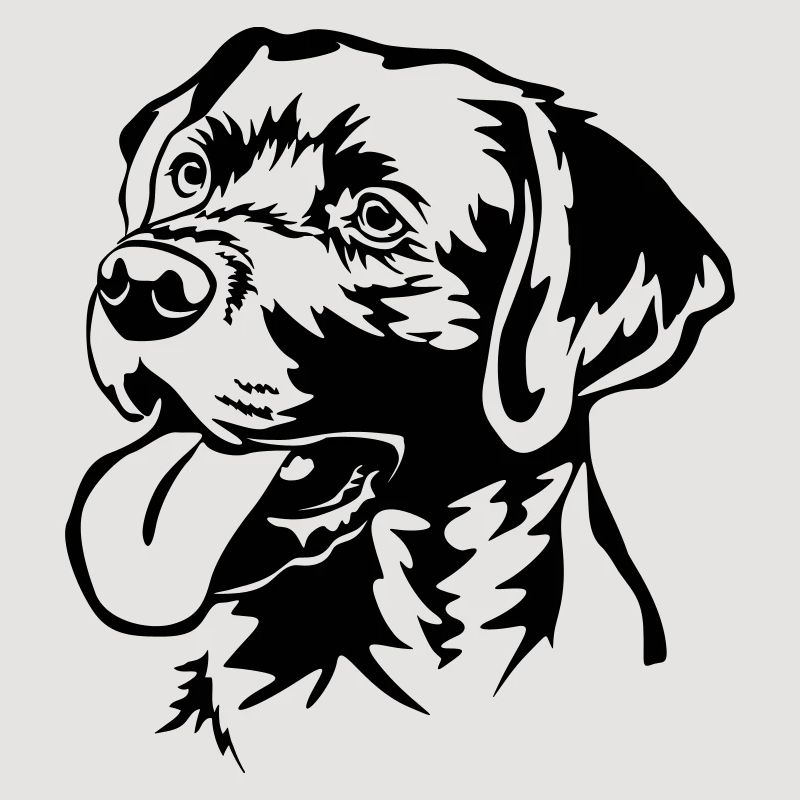 Labrador Retriever Kopf