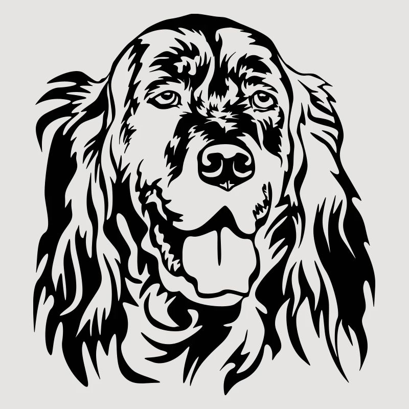 Tête de setter anglais