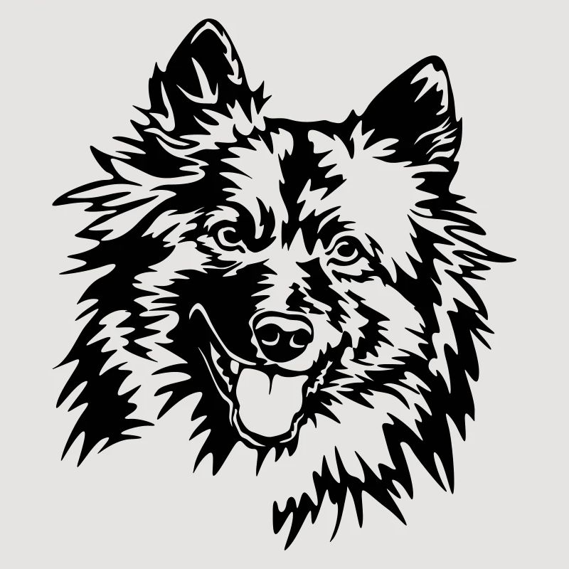 Wolfsspitz Kopf