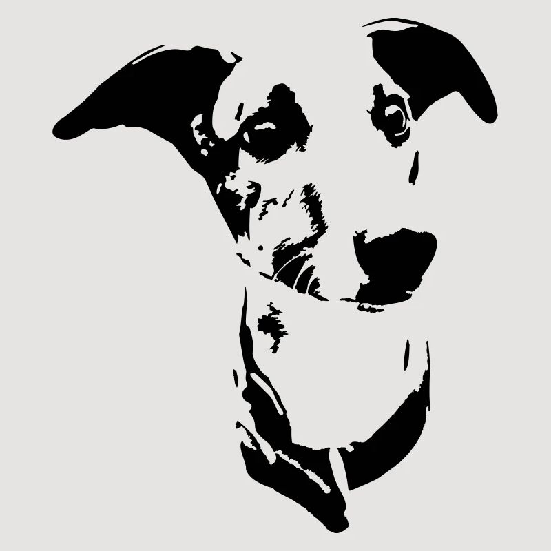 Tête de whippet