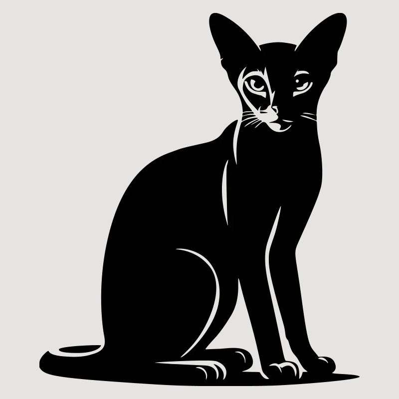 Abyssinian Cat