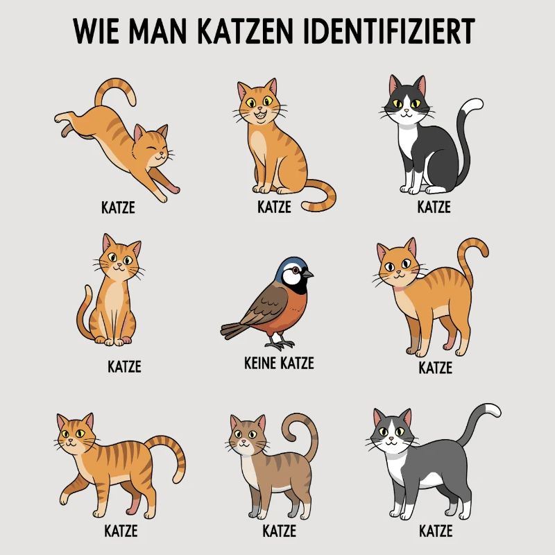 Guide d’identification des chats