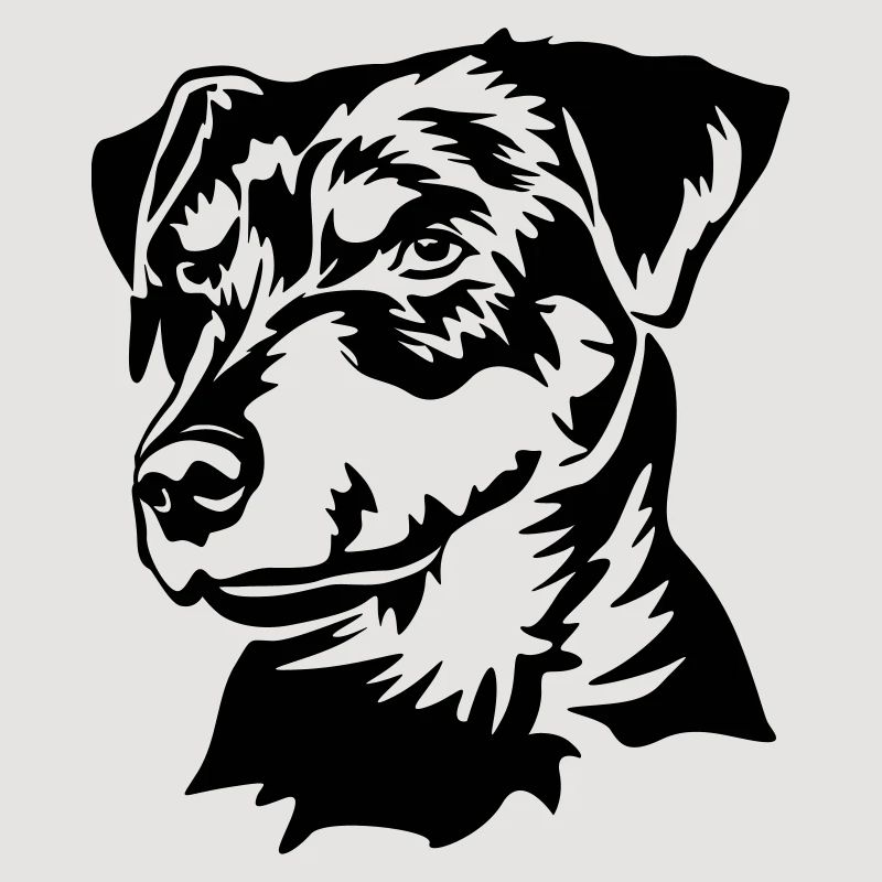 Deutscher Jagdterrier Kopf