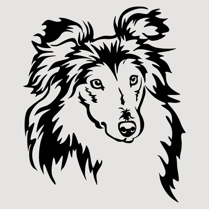 Tête de Sheltie