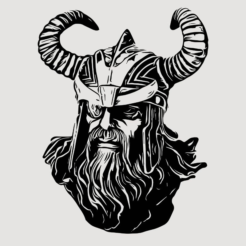 Odin Wikinger