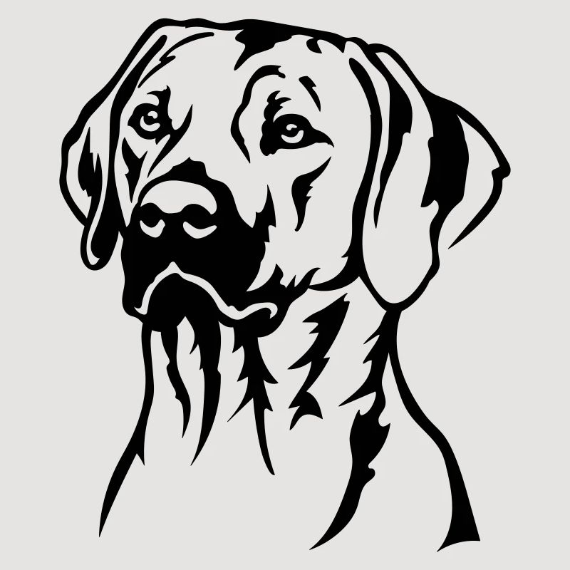 Rhodesian Ridgeback Head