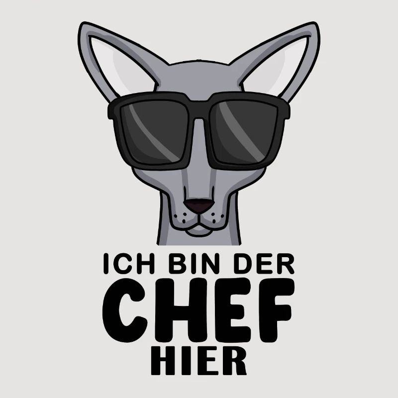 coole Katze - Sphynx Katze Spruch