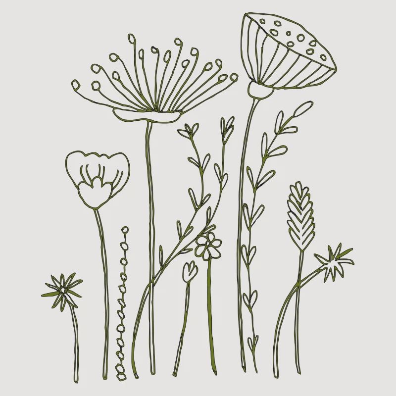 Fleurs séchées