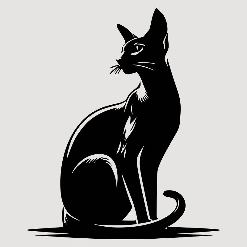 Orientalisch Kurzhaar Katze