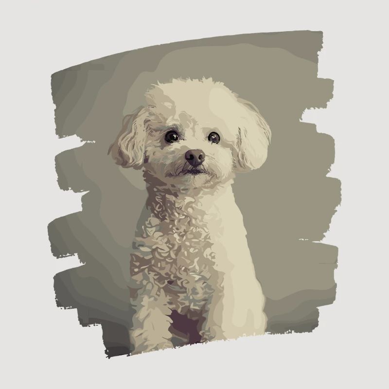 Poodle