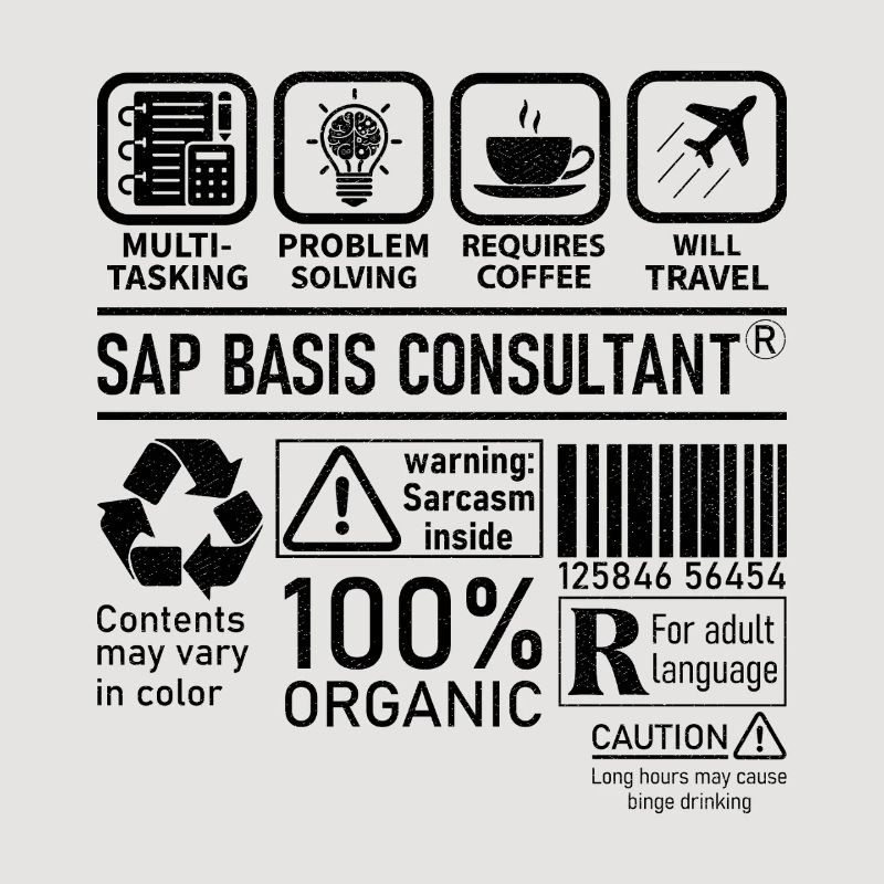 Sap Basis Consultant multi tasking problem solving