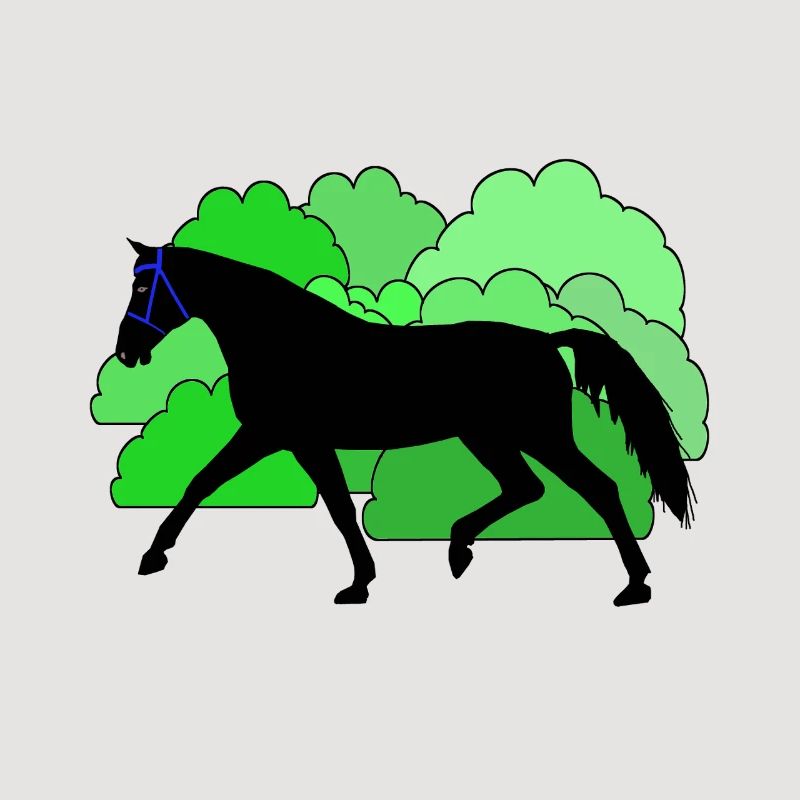 Pferd Pferde Rappe
