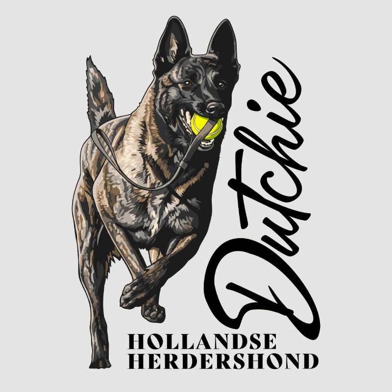 Dutch Shepherd - Dutchie 