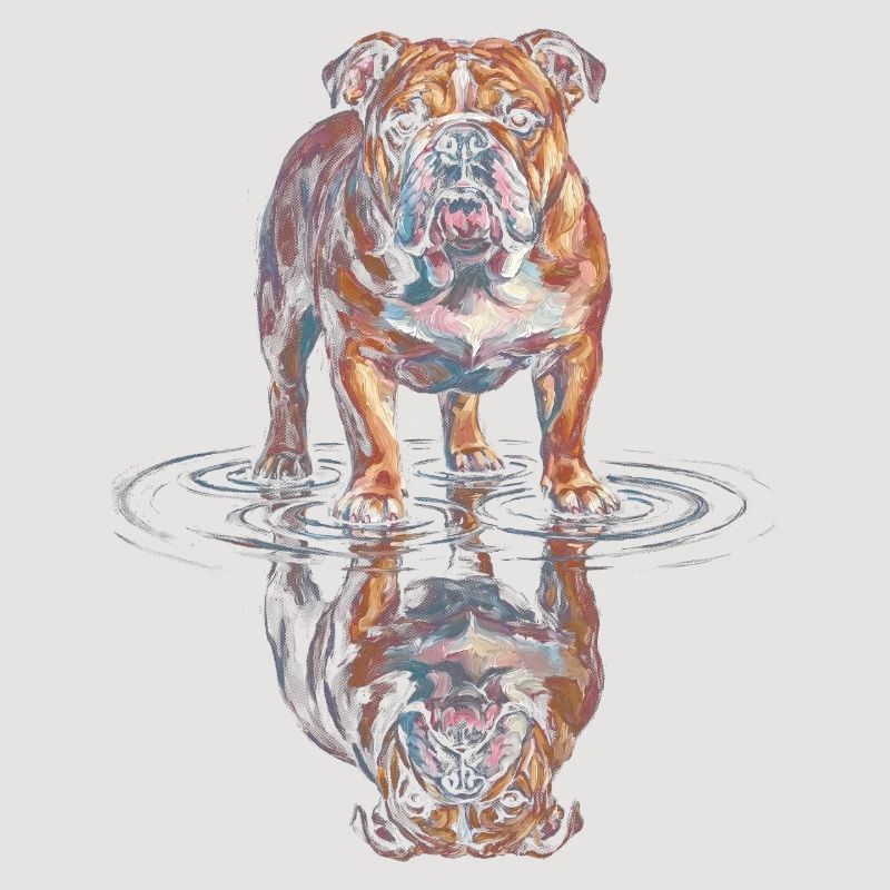 Reflet de l’eau du bouledogue