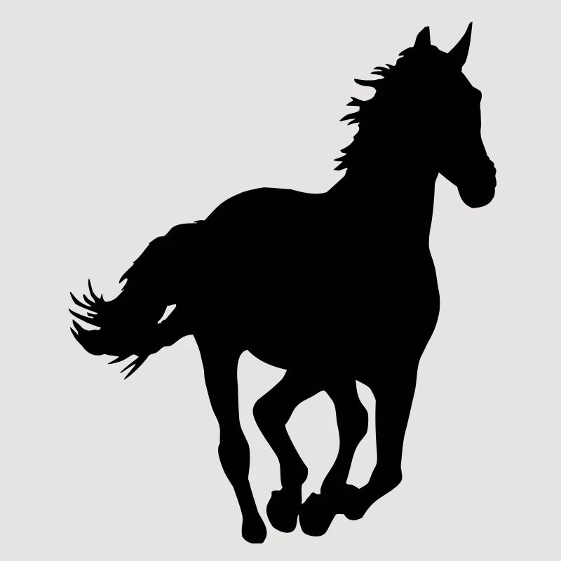 Un cheval