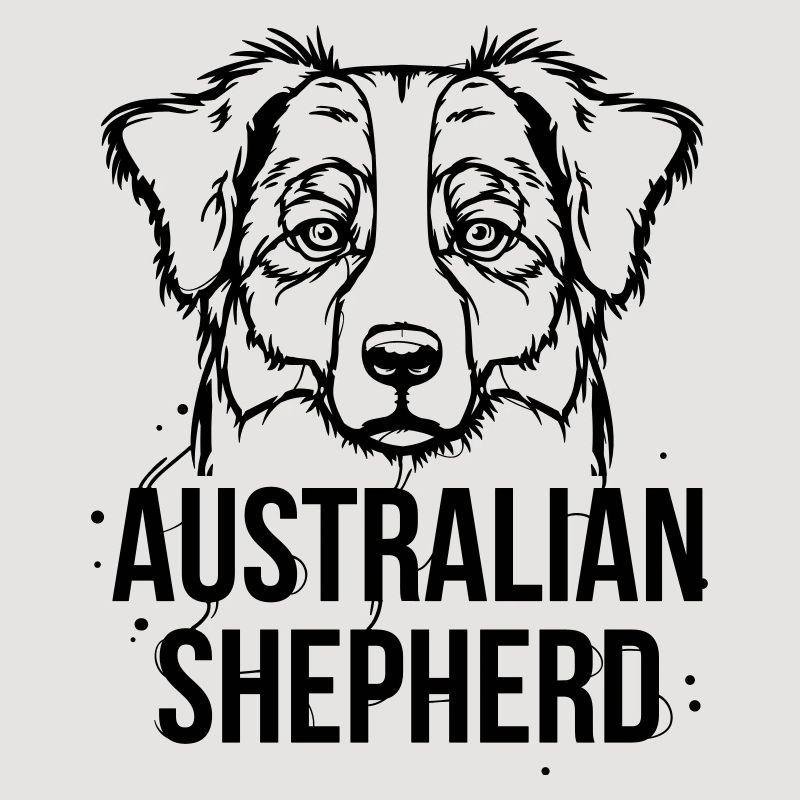 Australian Shepherd