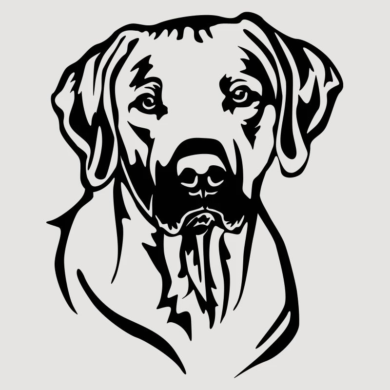 Rhodesian Ridgeback Kopf