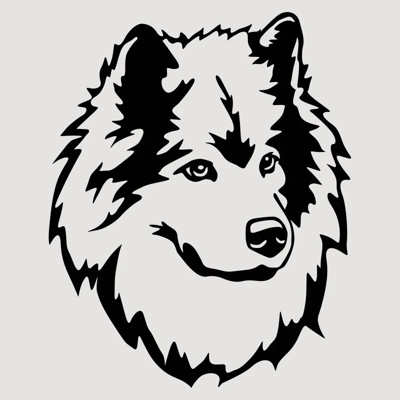 Eurasier Kopf