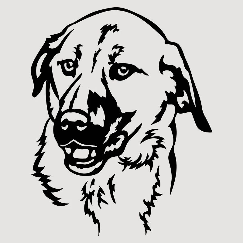 Kangal Head