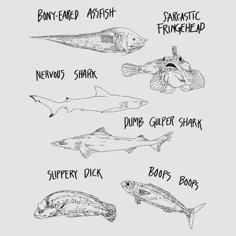 FUNNY FISH
