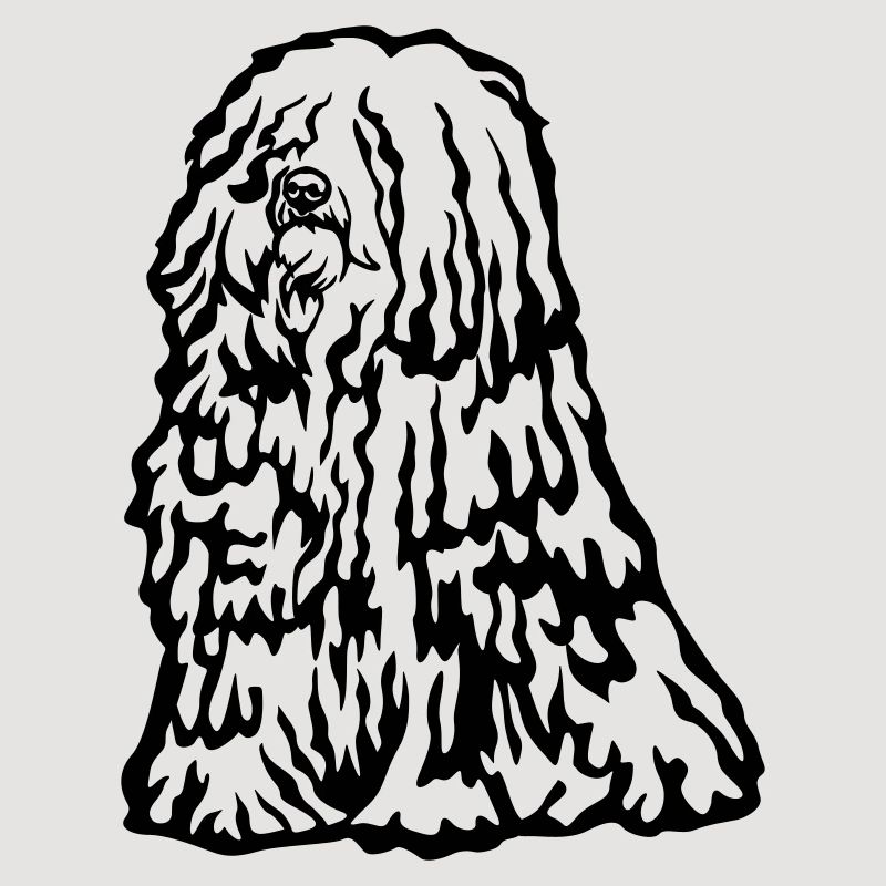 Puli
