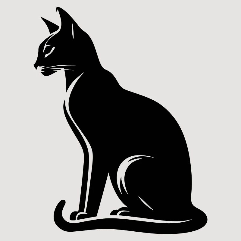 Chat abyssin