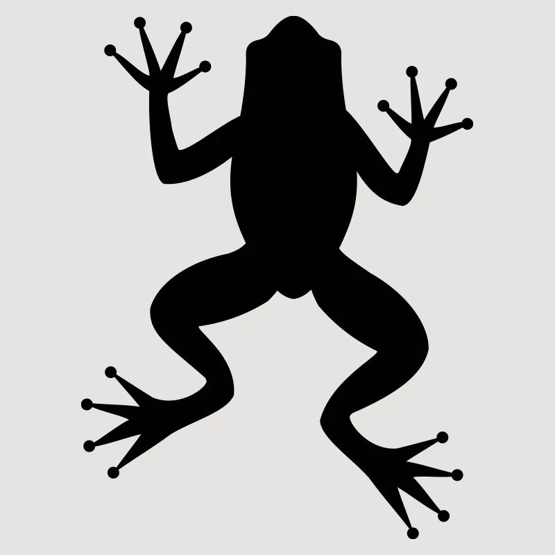 Grenouille crapaud