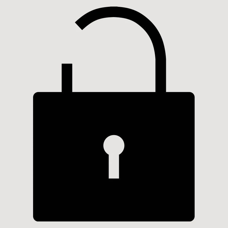 No security no security open lock lock