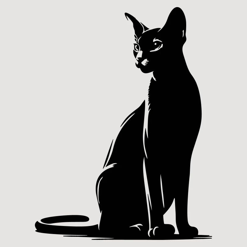 Abessiner Katze