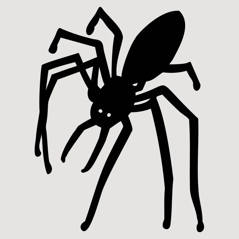 spider