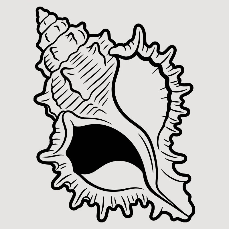 shell