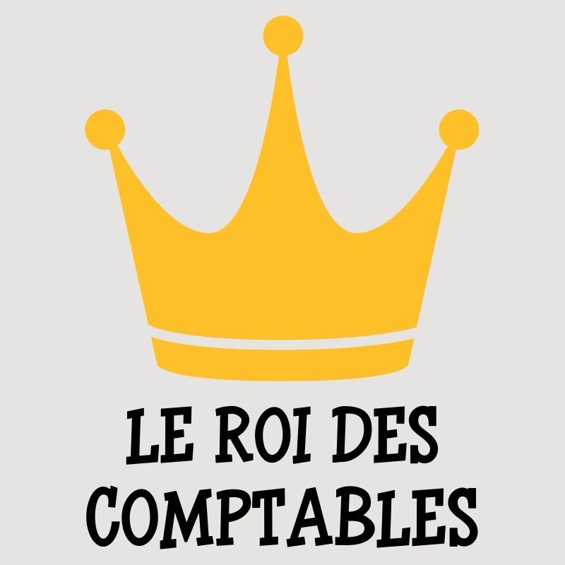 Accountant / Accounting / Comptable / Comptabilité