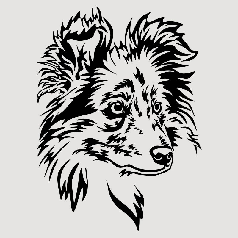 Sheltie Head