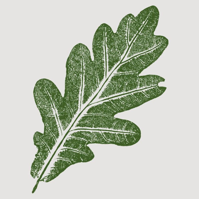 Feuille de chêne / Vert