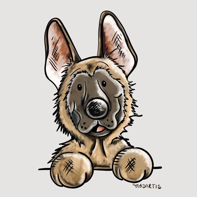 Mignon Malinois - Chien - Chiens