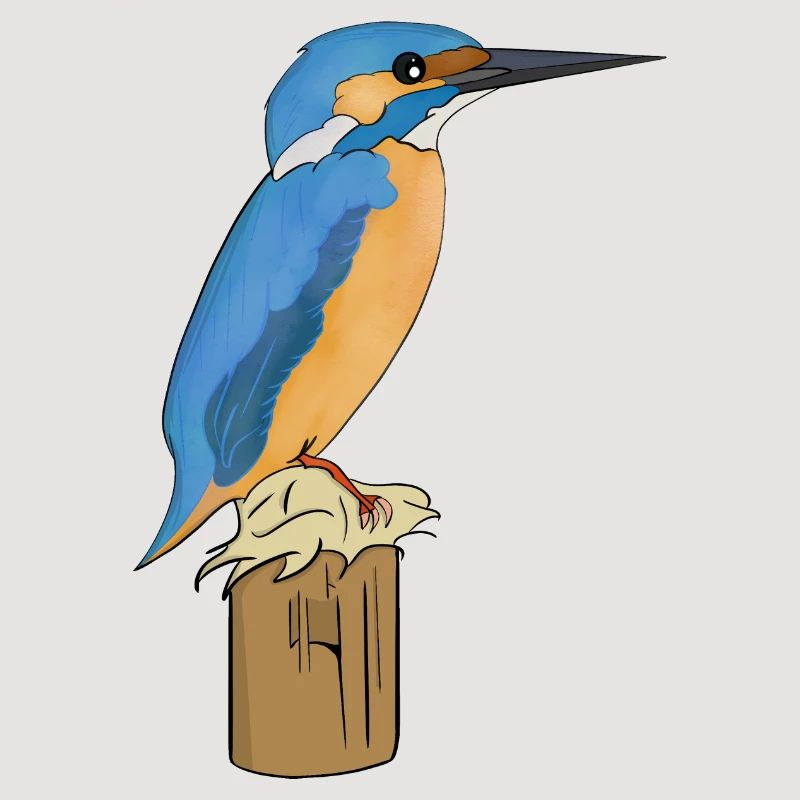 Eisvogel Vogel