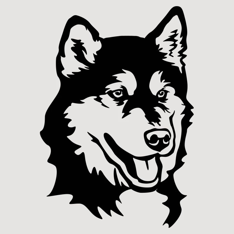 Tête de Malamute d’Alaska