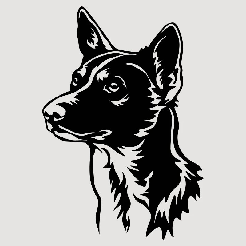 Tête de Basenji