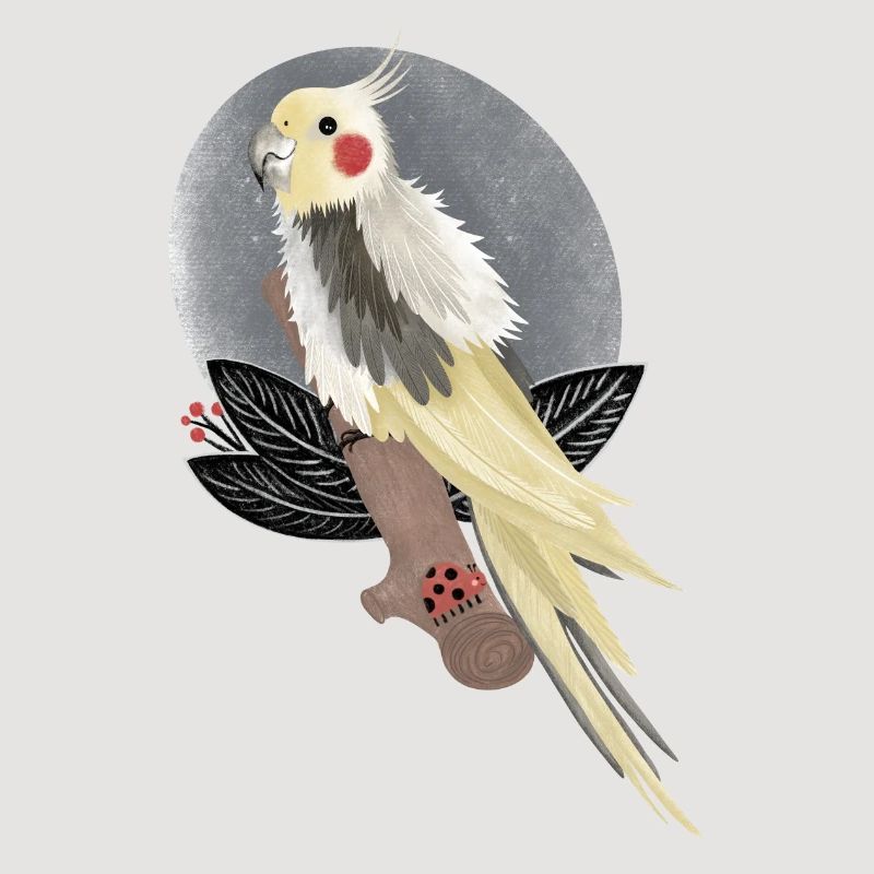 illustration de cacatoès calopsitte