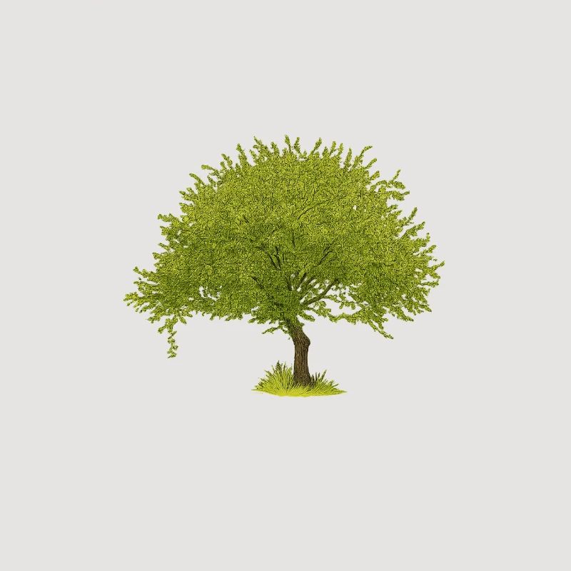 Arbre d’été vert