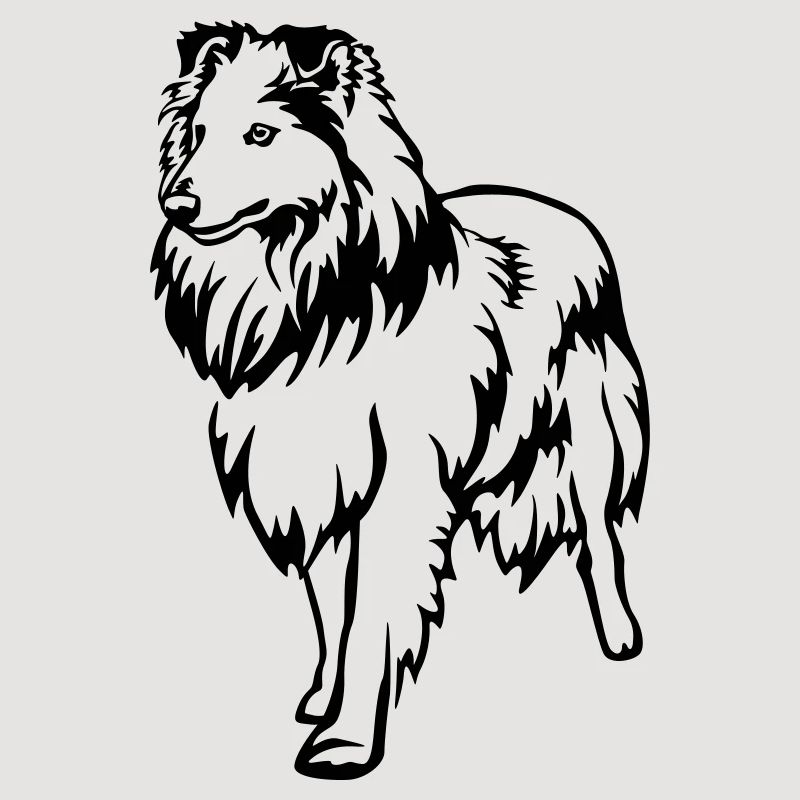 Sheltie