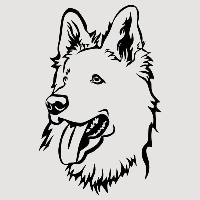 Schweizer Schäferhund Kopf
