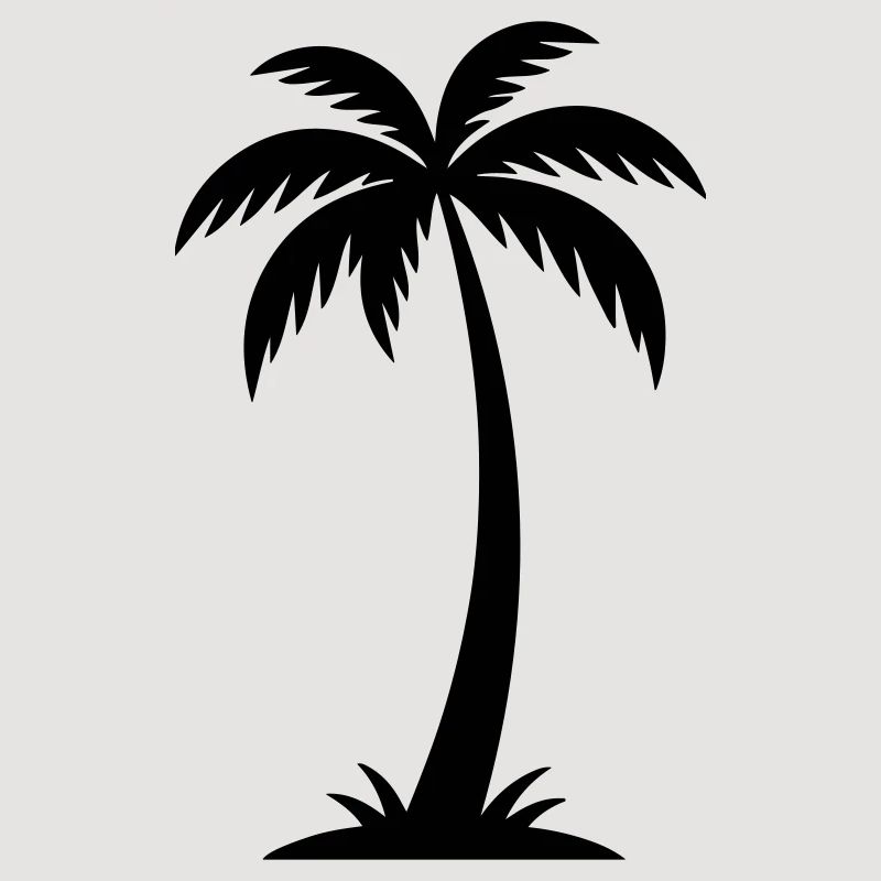 Silhouette de palmier