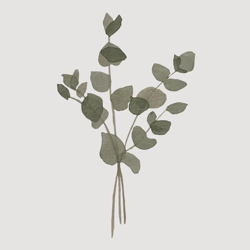 Eucalyptus à l’Aquarelle