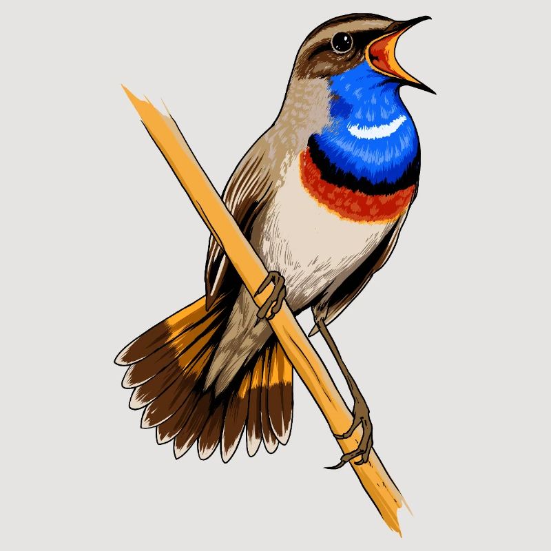 Bluethroat