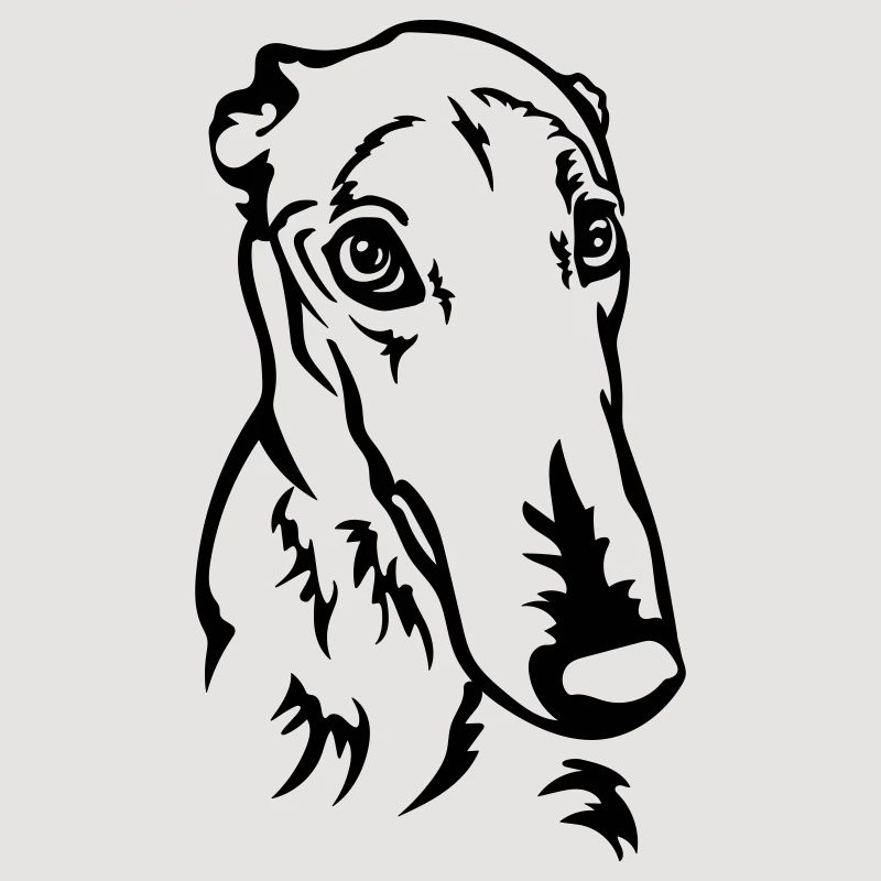 Greyhound Kopf