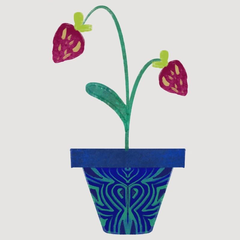 Fraise dans un pot