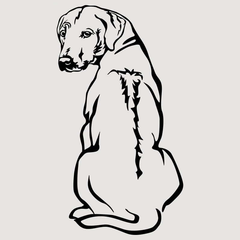 Rhodesian Ridgeback