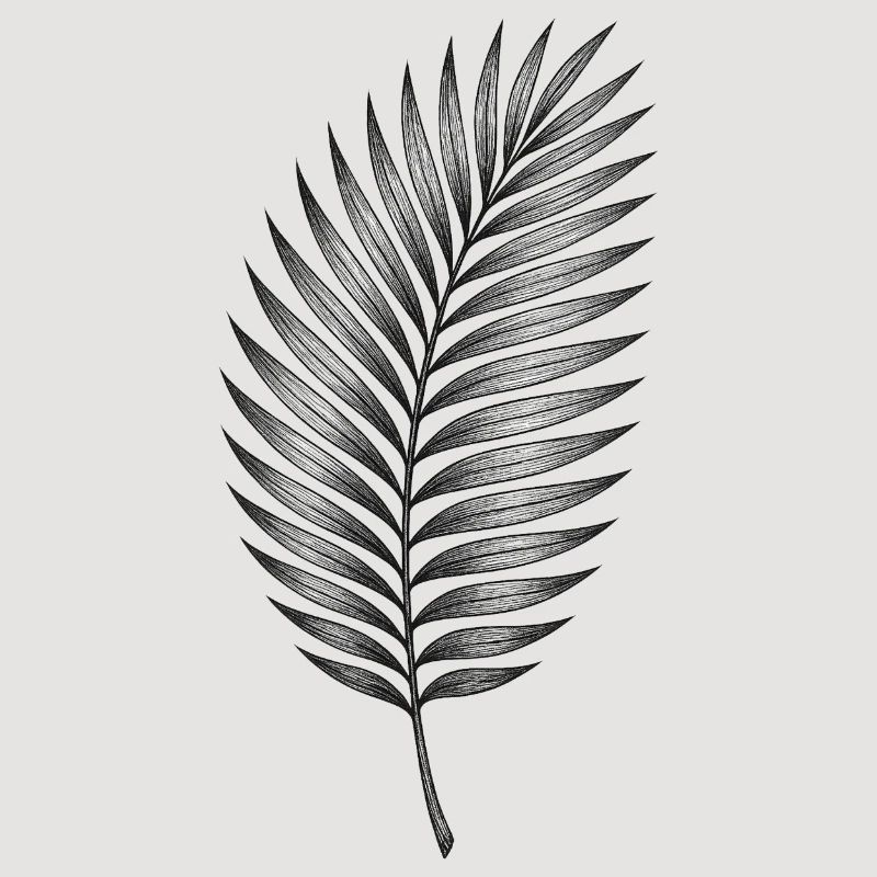 Black palm leaf pattern