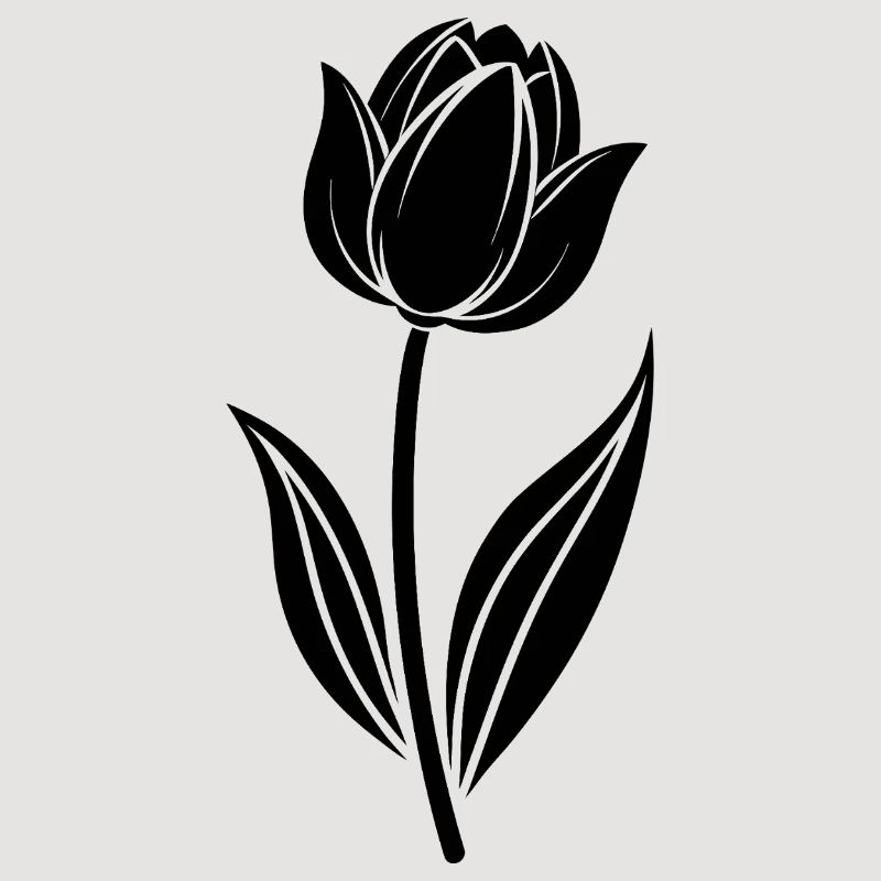 Tulipe